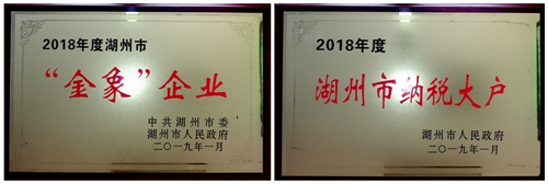 20190221094704429